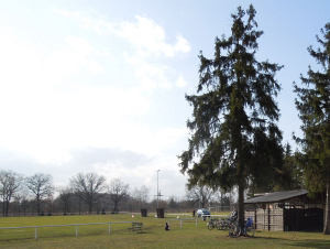 DSCN2422.JPG